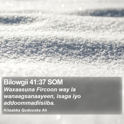 Bilowgii 41:37 SOM Bible Verse Image