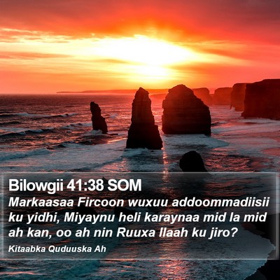 Bilowgii 41:38 SOM Bible Verse Image