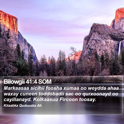 Bilowgii 41:4 SOM Bible Verse Image