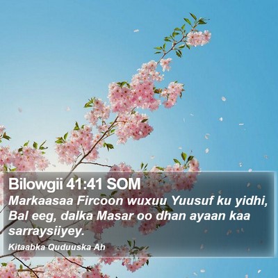 Bilowgii 41:41 SOM Bible Verse Image