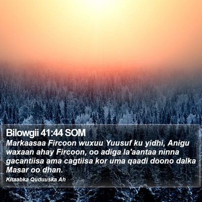 Bilowgii 41:44 SOM Bible Verse Image