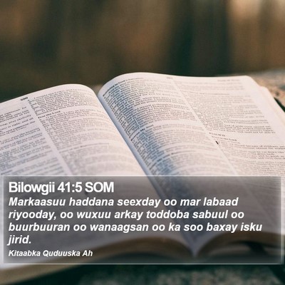 Bilowgii 41:5 SOM Bible Verse Image