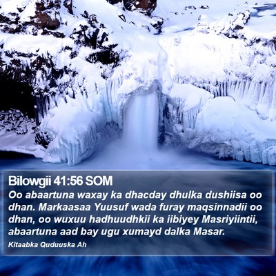 Bilowgii 41:56 SOM Bible Verse Image