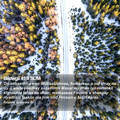 Bilowgii 41:8 SOM Bible Verse Image
