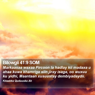 Bilowgii 41:9 SOM Bible Verse Image