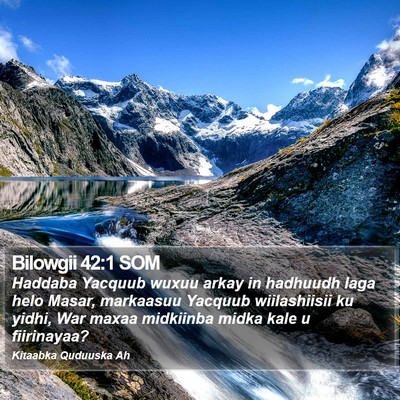 Bilowgii 42:1 SOM Bible Verse Image
