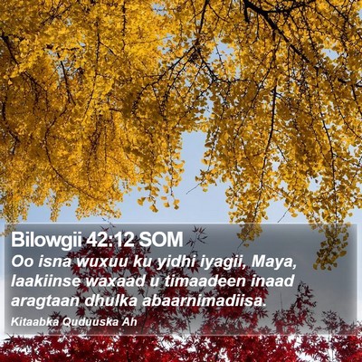 Bilowgii 42:12 SOM Bible Verse Image