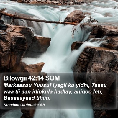 Bilowgii 42:14 SOM Bible Verse Image