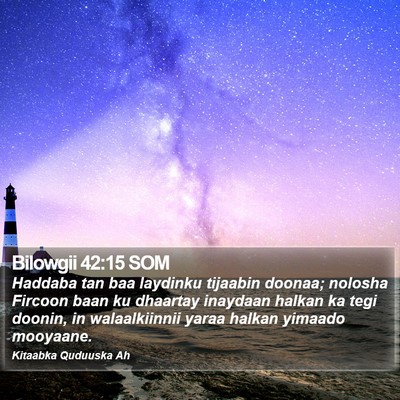 Bilowgii 42:15 SOM Bible Verse Image