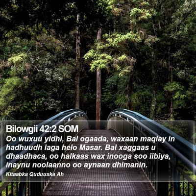 Bilowgii 42:2 SOM Bible Verse Image