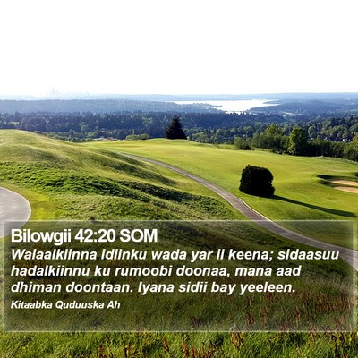 Bilowgii 42:20 SOM Bible Verse Image
