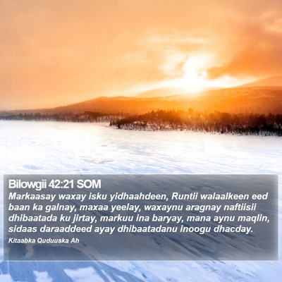 Bilowgii 42:21 SOM Bible Verse Image
