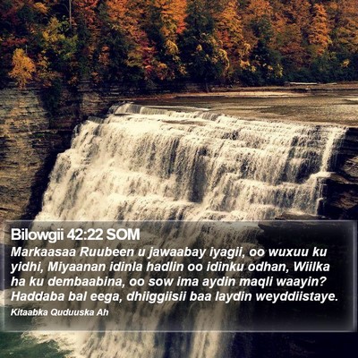 Bilowgii 42:22 SOM Bible Verse Image