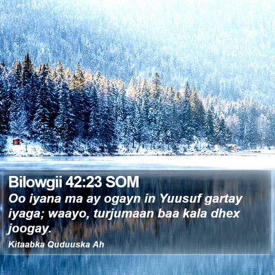 Bilowgii 42:23 SOM Bible Verse Image