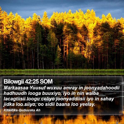 Bilowgii 42:25 SOM Bible Verse Image