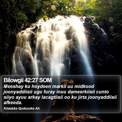 Bilowgii 42:27 SOM Bible Verse Image