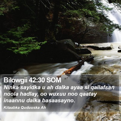 Bilowgii 42:30 SOM Bible Verse Image