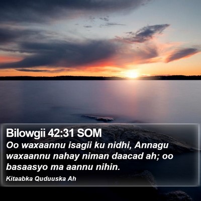 Bilowgii 42:31 SOM Bible Verse Image