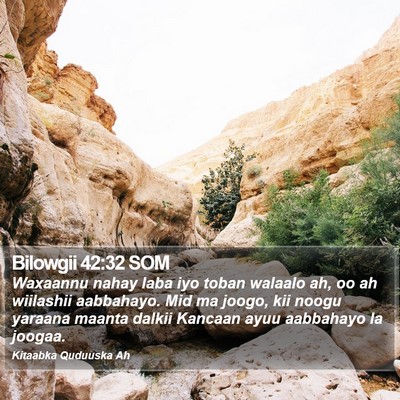 Bilowgii 42:32 SOM Bible Verse Image