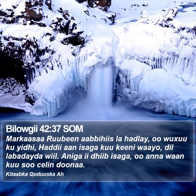 Bilowgii 42:37 SOM Bible Verse Image
