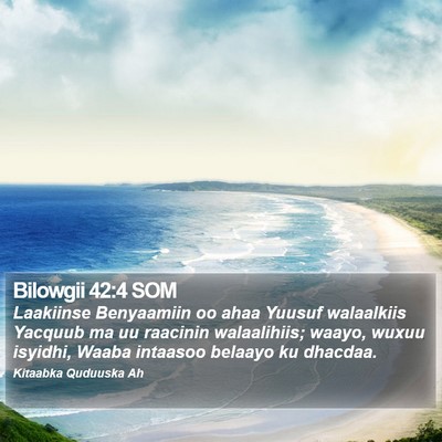 Bilowgii 42:4 SOM Bible Verse Image