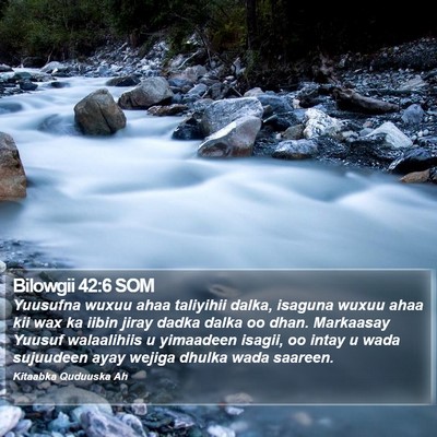 Bilowgii 42:6 SOM Bible Verse Image