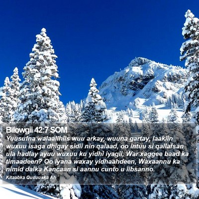 Bilowgii 42:7 SOM Bible Verse Image