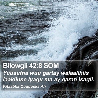 Bilowgii 42:8 SOM Bible Verse Image