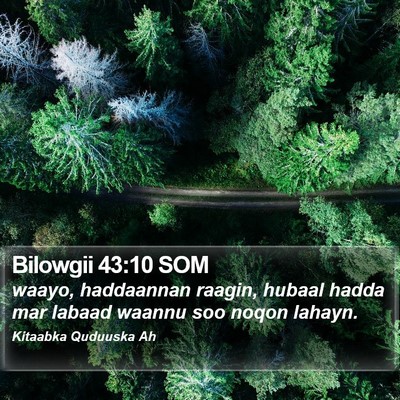Bilowgii 43:10 SOM Bible Verse Image