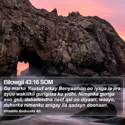 Bilowgii 43:16 SOM Bible Verse Image