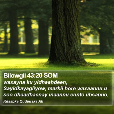 Bilowgii 43:20 SOM Bible Verse Image