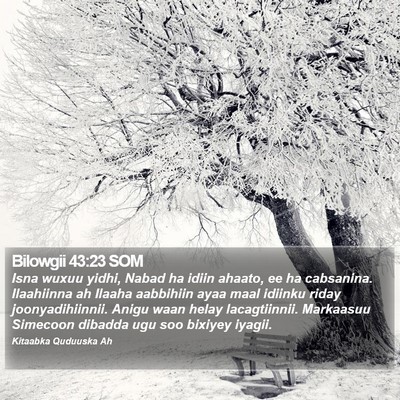 Bilowgii 43:23 SOM Bible Verse Image