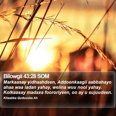 Bilowgii 43:28 SOM Bible Verse Image