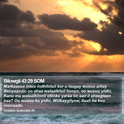 Bilowgii 43:29 SOM Bible Verse Image