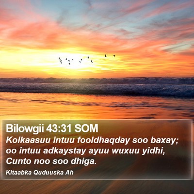 Bilowgii 43:31 SOM Bible Verse Image