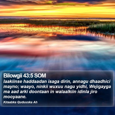 Bilowgii 43:5 SOM Bible Verse Image