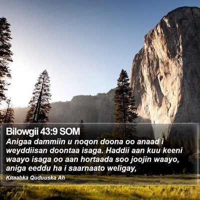 Bilowgii 43:9 SOM Bible Verse Image