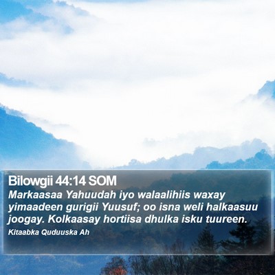 Bilowgii 44:14 SOM Bible Verse Image