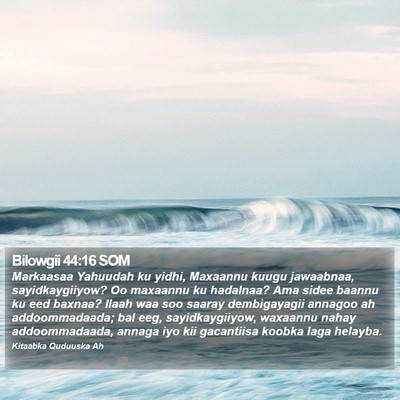 Bilowgii 44:16 SOM Bible Verse Image