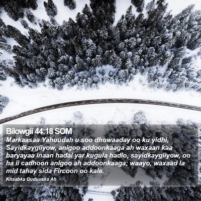 Bilowgii 44:18 SOM Bible Verse Image