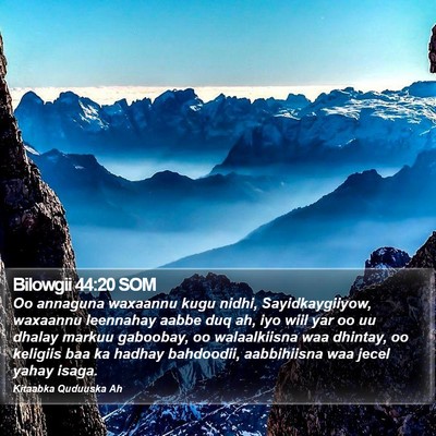 Bilowgii 44:20 SOM Bible Verse Image