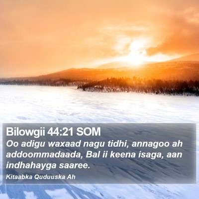 Bilowgii 44:21 SOM Bible Verse Image