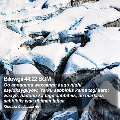 Bilowgii 44:22 SOM Bible Verse Image