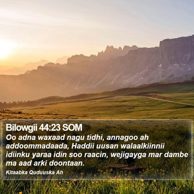 Bilowgii 44:23 SOM Bible Verse Image