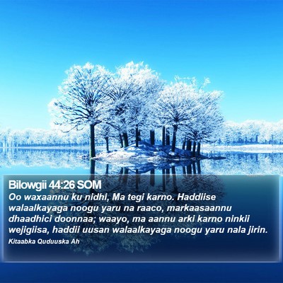 Bilowgii 44:26 SOM Bible Verse Image