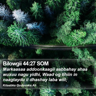 Bilowgii 44:27 SOM Bible Verse Image