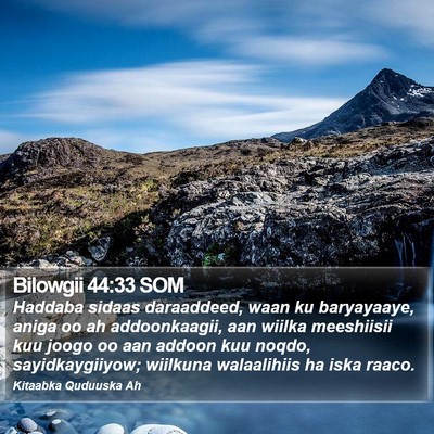 Bilowgii 44:33 SOM Bible Verse Image