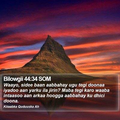 Bilowgii 44:34 SOM Bible Verse Image