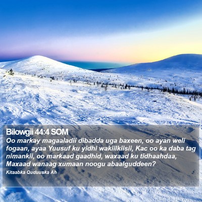 Bilowgii 44:4 SOM Bible Verse Image