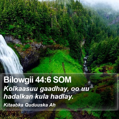 Bilowgii 44:6 SOM Bible Verse Image
